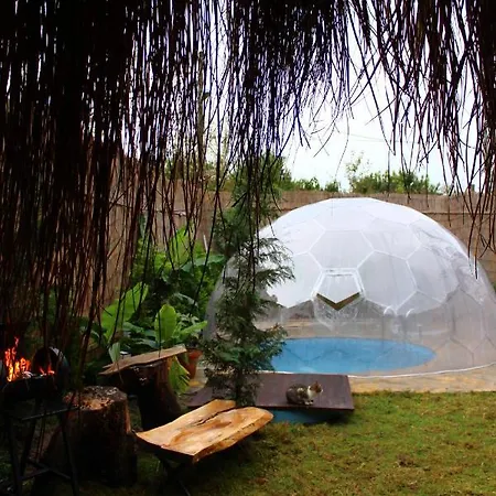 Guest house Blue *